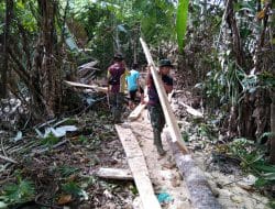 Hanya Mengangkut Bahan Material Kayu Sampai Jalan
