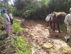 Kuda Jadi Alat Angkut Utama di Lokasi TMMD ke 111 Kodim 0212/TS Desa Siuhom, Tapsel