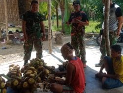 Anggota Satgas TMMD Bantu Warga Panen Dan Kupas Siwalan
