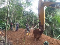 Dansatgas, Semoga Cuaca Cerah Bisa Memperlancar Buka Hutan Untuk Jalan baru TMMD Kodim Tapsel