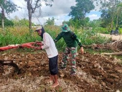 Satgas TMMD Gresik Tidak Kenal Jenis Pekerjaan Semua Bisa Dilakukan Demi Warga