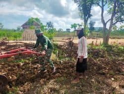 TMMD Kodim 0817 Gresik Bawa Ilmu Pertanian, Perdagangan Maupun Kesehatan