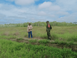 Pak Parno Penyuluh Swadaya Pertanian yang Ada di Lokasi TMMD Reguler Ke-111 Desa Kuala Mandor B   