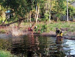 Sisi Lain Kehidupan di Lokasi TMMD Ke-111   