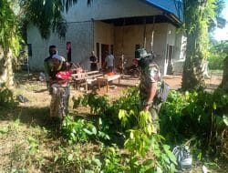 Satgas TMMD Ke-111 Kodim 1207/Pontianak Bantu Warga Angkat Bibit Tanaman