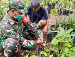 Anggota Satgas TMMD Ke-111 Kodim 1207/Pontianak Belajar Teknik Penyambungan Buah