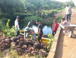 Serda Budi Harsono Membantu Masyarakat Bongkar Muat Sawit di Lokasi TMMD Ke-111 Kodim 1207/Pontianak   
