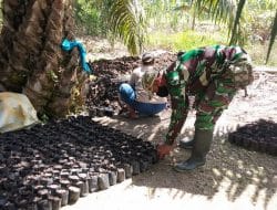 Satgas TMMD Ke-111 Kodim 1207/Pontianak Bantu Warga Desa Kuala Mandor B Pembibitan Bibit Kelapa Sawit   