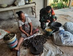 Anggota Satgas TMMD Ke-111 Kodim 1207/Pontianak Datangi Petani Jengkol   