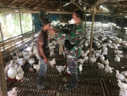 Satgas TMMD Ke-111 Kodim 1207/Pontianak Bagikan Masker Kepada Peternak Ayam   