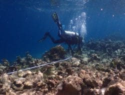 KKP Terapkan Restoratif Justice Atas Kerusakan Terumbu Karang Raja Ampat