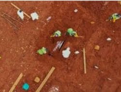 Ketua ICPW Geram Mendengar Petugas TPU Melakukan Pungli Pemakaman Jenazah Covid-19