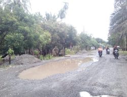 Jalan Penghubung Pasi Kumbang Rusak Parah