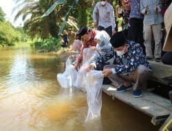 Peringati Hari Lingkungan Hidup, Bupati Tanjabbar Tabur Benih Ikan Lubuk Larangan
