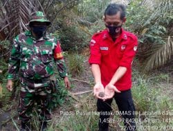 Babinsa Koramil 10/Barteng Laksanakan Patroli Terpadu Pencegahan Karhutla