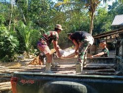 Anggota satgas tmmd angkut bahan material Semen dan Kayu menggunakan mobil dinas.