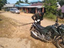 Gunakan Sepeda Motor, Satgas TMMD Ke 111 Kodim 1202/Skw Langsir Material