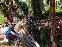 Warga Dan Satgas TMMD 111 Kodim 1202/Skw Menyiapkan Material Kayu Untuk Jembatan.