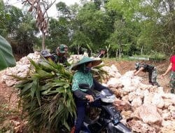 Mencari Rumput Pakan Ternak Adalah Rutinitas Warga Desa Siwalan