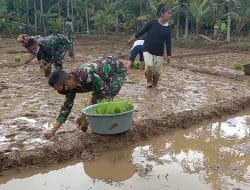 Tercapainya Swasembada Pangan Membuat Masyarakat Desa Sejahtera di TMMD Kodim Tapsel