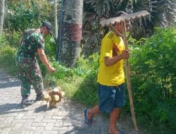Serda Wisnu Bantu Warga Panen Buah Siwalan