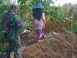 Personil Satgas TMMD Sosialisasikan Pupuk Bios 44 Kepada Petani Jagung Desa Siwalan