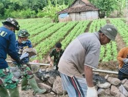 Banyak Cerita Yang Digambarkan Mbah Karmo Saat Bantu Satgas TMMD