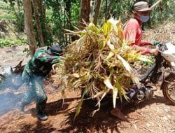 Sigap dan Tanggap, Anggota Satgas TMMD Ke-111 Kodim 1202/Skw Bantu mendorong Motor Warga yang tidak bisa naik tanjakan