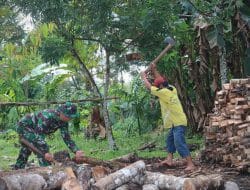 Anggota satgas TMMD Ke 111 kodim 1202/Singkawang bersama warga mencari kayu bakar untuk bahan bakar masak