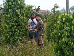 Anggota Satgas Komsos Dan Pendampingan Terhadap Petani Di Desa Dalam Kegiatan TMMD Regtas ke 111 Ta. 2021 Jajaran Kodim 1202/Singkawang.