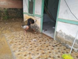 Pemasangan Keramik Pada Teras Pustu Oleh Satgas TMMD Ke-111 Kodim 1202/Singkawang