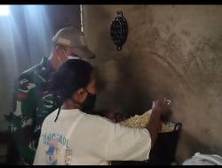 Satgas TMMD Ke 111 Kodim 1202/Skw Melaksanakan Komsos Dan Belajar Membuat Tempe Di Rumah Ibu Tumini.