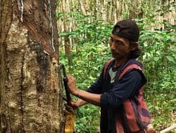 Ucapan Terimakasih Dari Masyarakat Desa Tanjung Kepada TMMD Ke-111 Kodim 1009/Tla