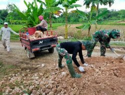 TMMD Ke – 111 dengan odong meringankan pekerjaan Satgas