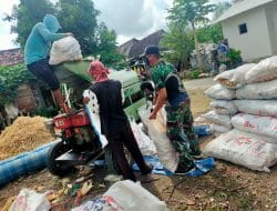 Prajurit TMMD ke 111, bantu warga giling padi