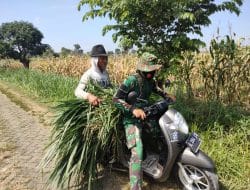 Selalu peduli kepada warga di sekitar lokasi TMMD Gresik