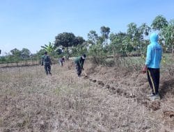 Satgas TMMD ke 111, Menimba Ilmu Cara Tanam Jagung