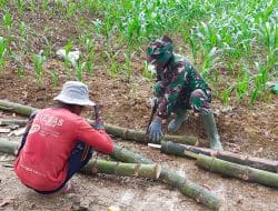 Untuk Berteduh Diwaktu Siang Satgas TMMD Bantu Warga Buat Gubuk Ditengah Sawah