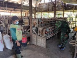 Anggota Satgas TMMD Lakukan Komsos dengan Peternak Ayam Petelur