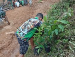Tanpa Pamrih, Satgas TMMD Kodim Tapsel Bagikan Bibit Buah ke Warga Desa Siuhom