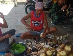 Ternyata Buah Siwalan Banyak Kegunaanya