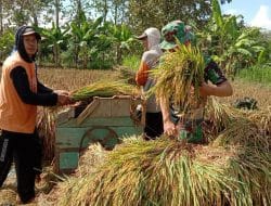 Kapten Siari,Petani Harus Ikuti Perkembangan Ilmu Modern