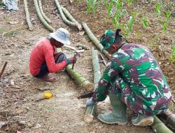 Aneka Kegunaan Bambu Petuk di Desa Siwalan