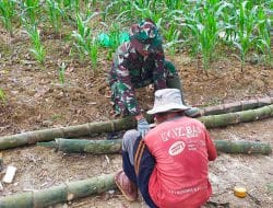 Aneka Kegunaan Bambu Petuk di Desa Siwalan