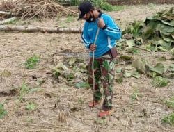 Pengalaman Waktu Dikampung Serda Sukarji Paham Betul Tata Cara Menanam Jagung