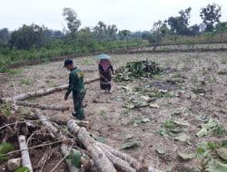 Peduli Warga, Satgas TMMD Bersihkan Pekarangan Rumah