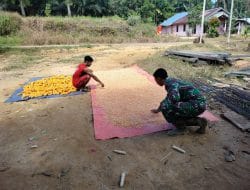 Anggota Satgas Bantu Warga Jemur Jagung