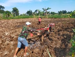 Keppedulian Satgas TMMD dengan Bajak ladang