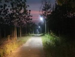 jalan dusun selodingin jadi terang benderang.