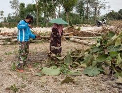Tinggal Menjadi Lebih Nyaman Karena Lingkungan Yang Asri dan Bersih